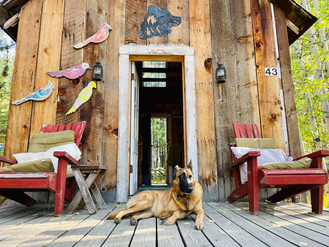 Front of cabin