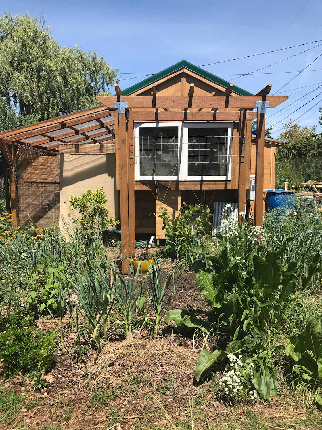 Wild Gardens Cottage