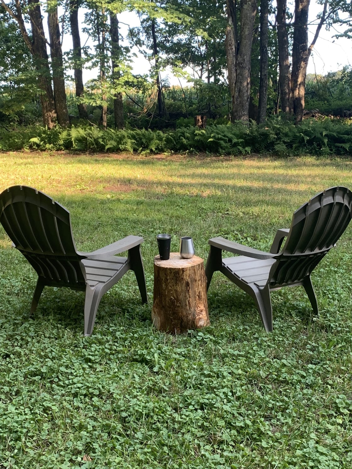 2 Chairs and log tables available. 