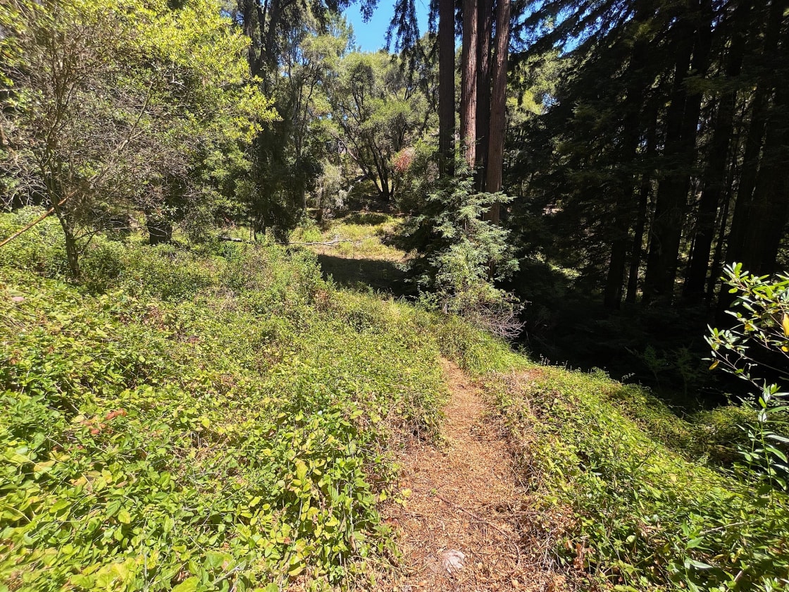 Private Trail