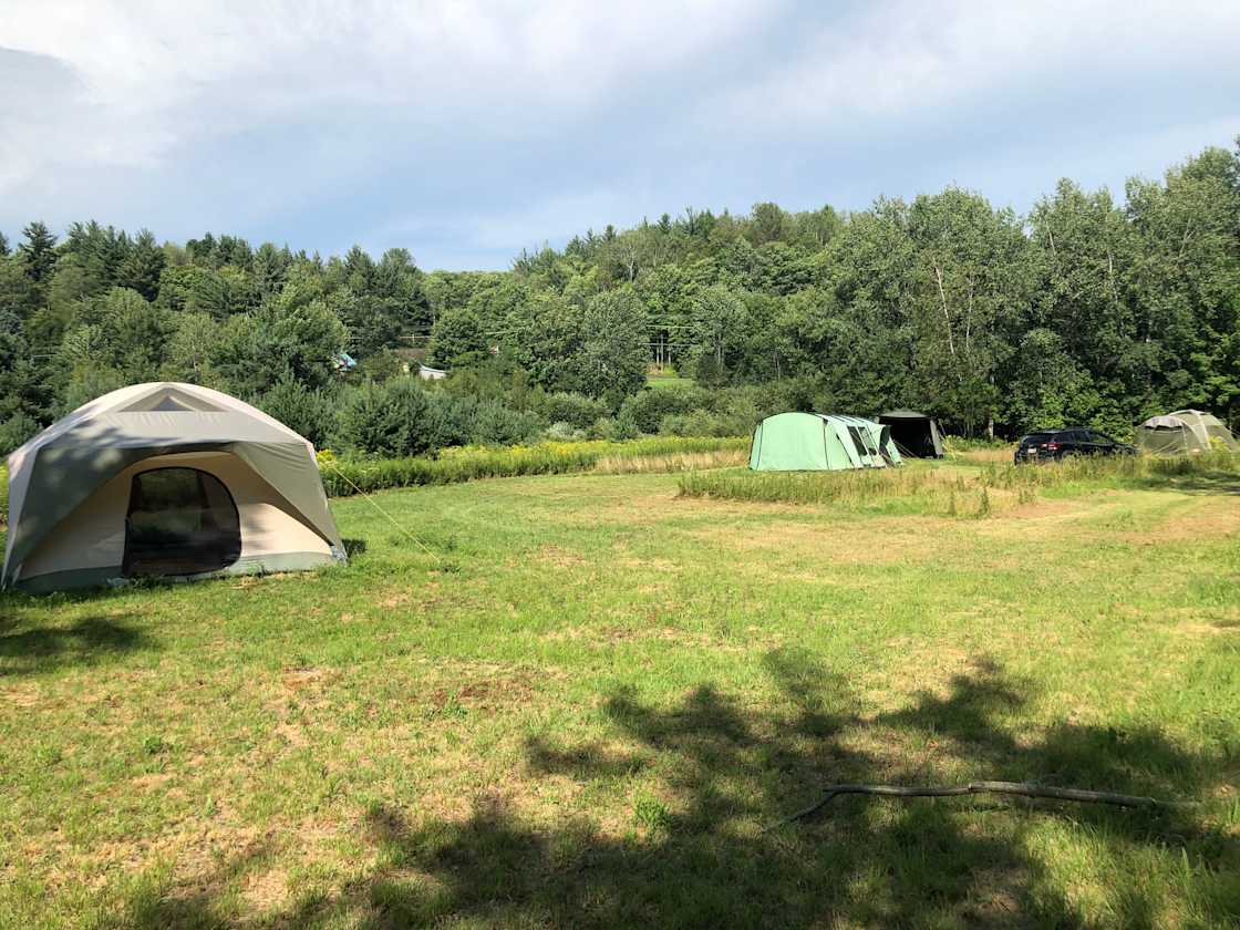 Pedro’s Camp