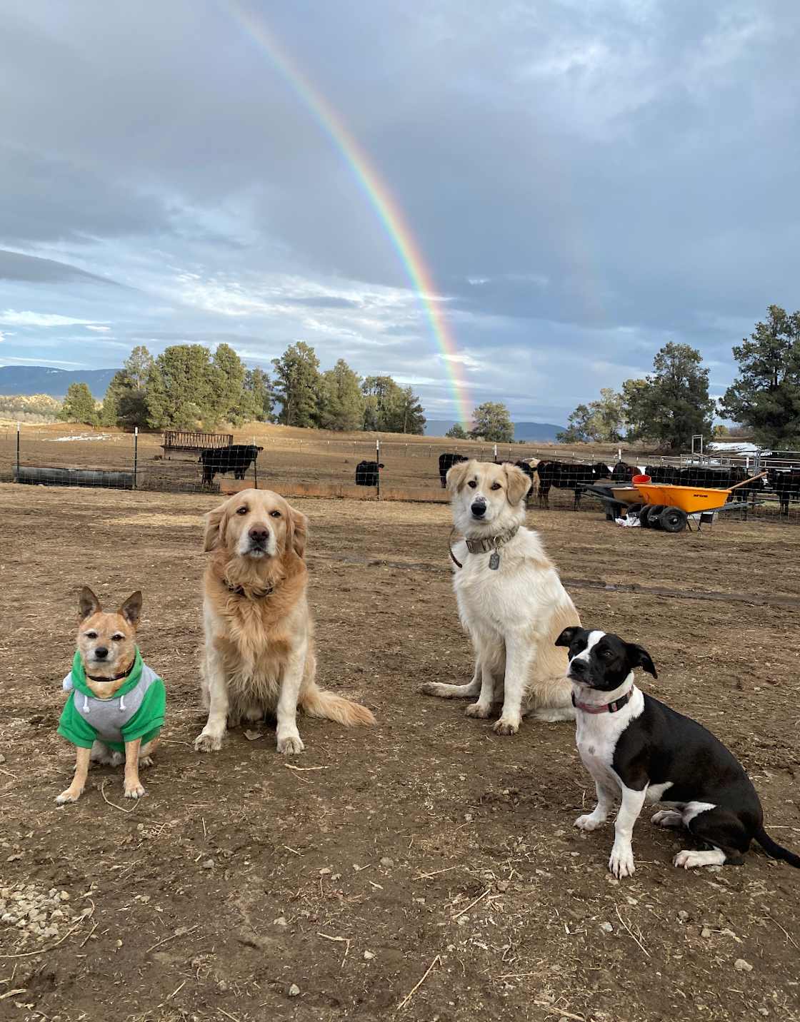 3 Kings Ranch
