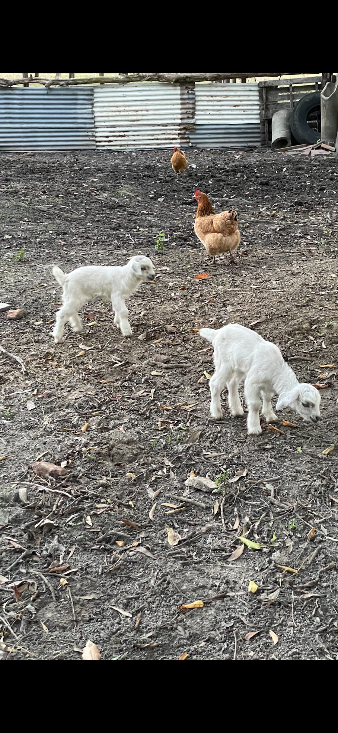 New babies born 1/8/22