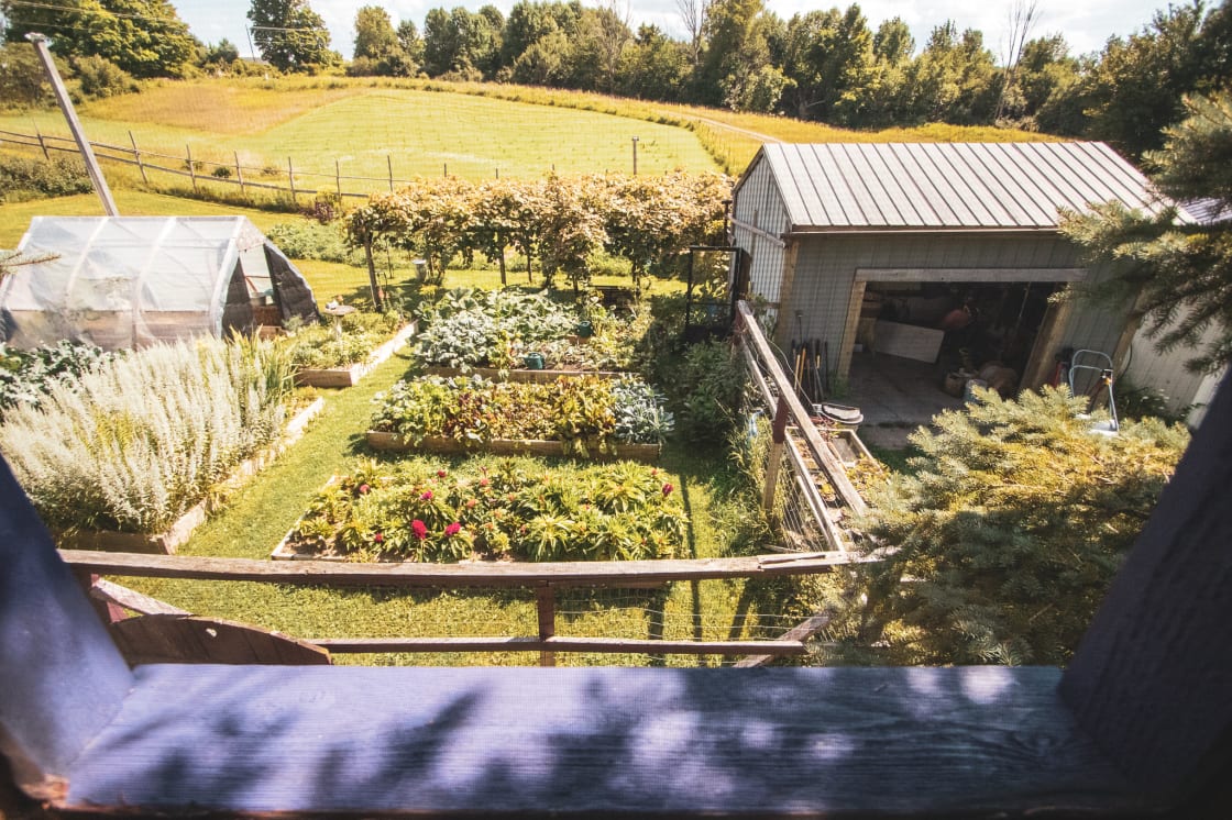 View of the garden from inside the treehouse 