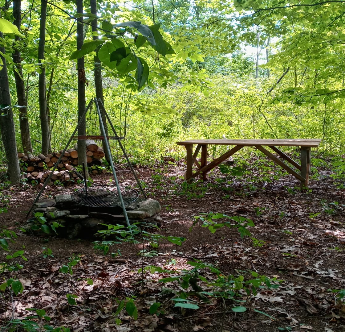 Campsite in the woods