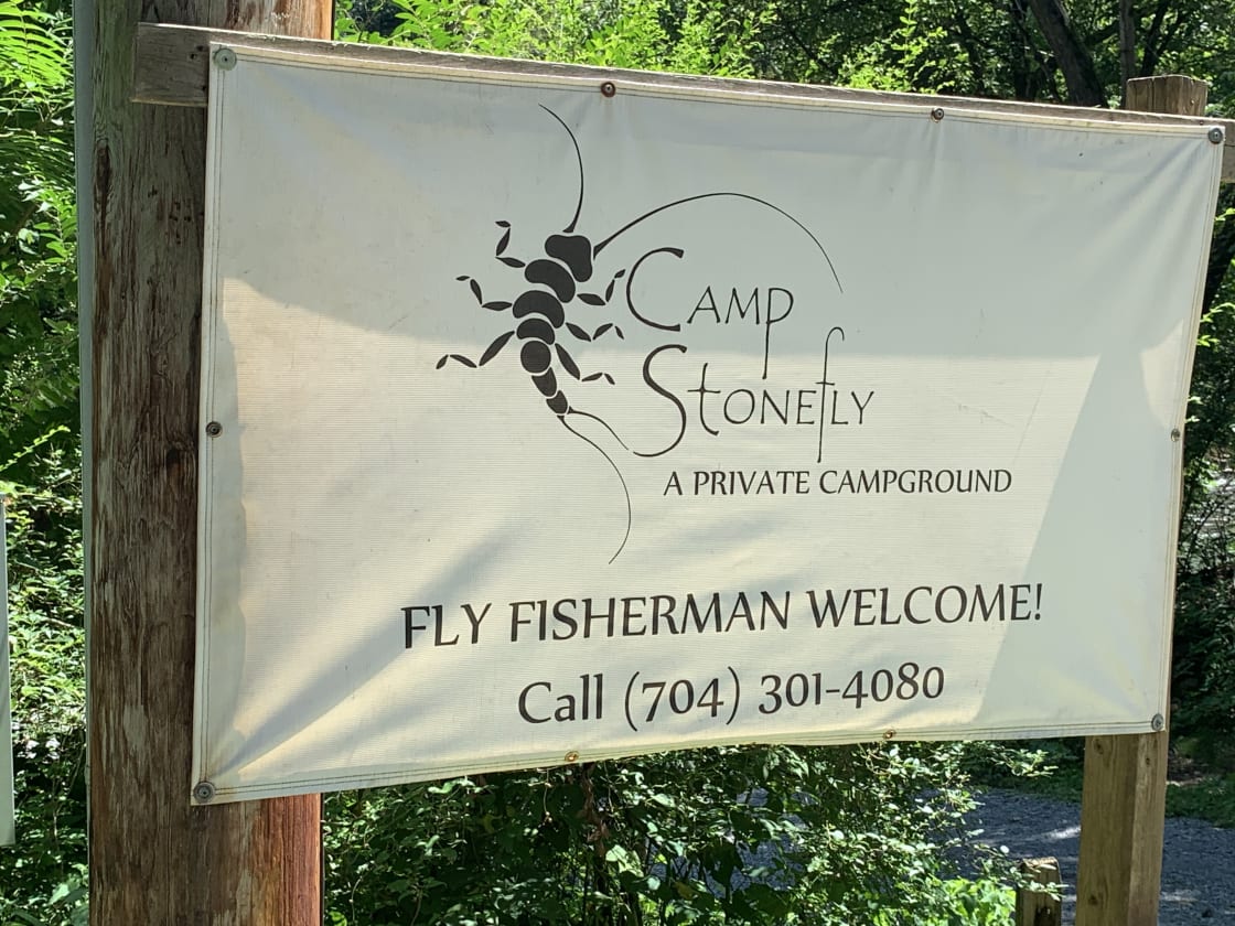 Camp Stonefly