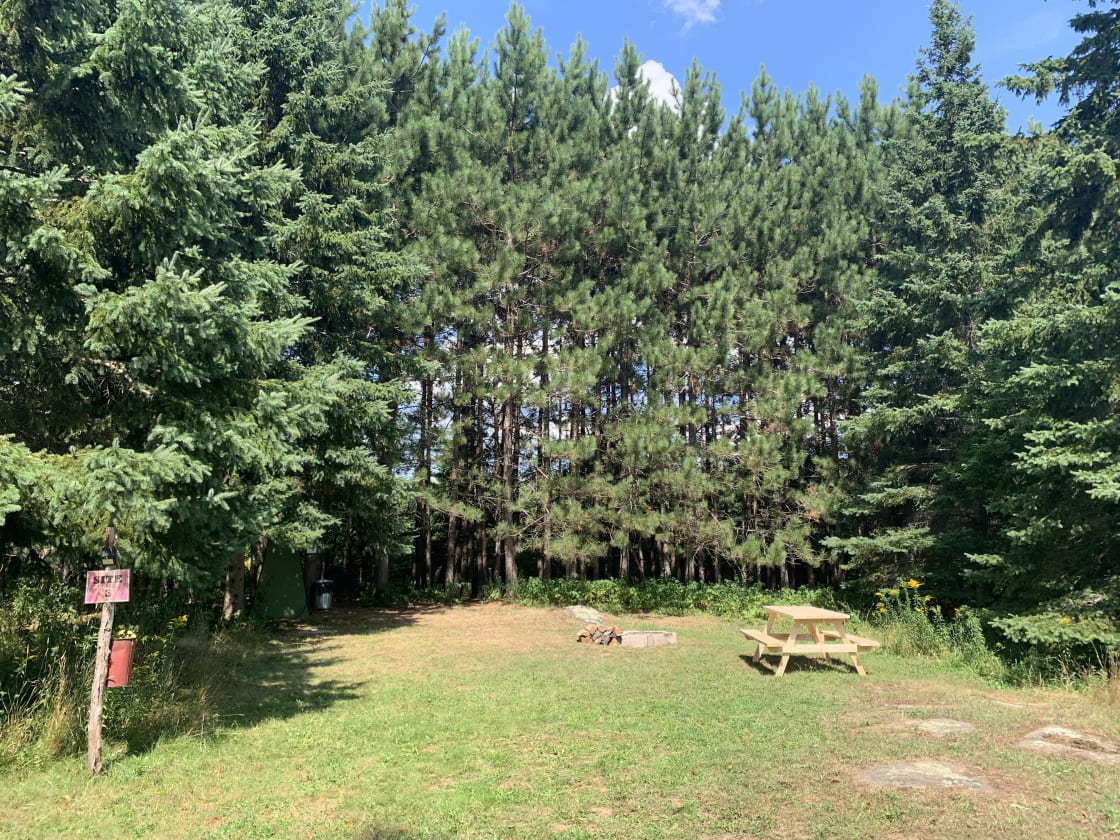 Site 3 - Barn View - lots of sunshine in this wide-open space surrounded by spruce and pine trees. Most likely to receive visits from farm animals!