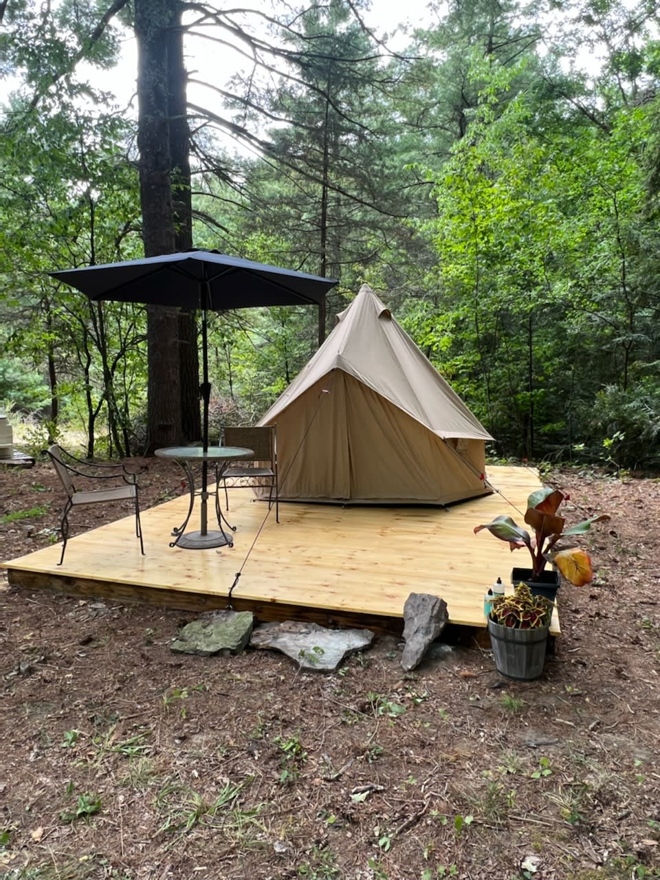 2 Person Bell tent Campsite under the Pines