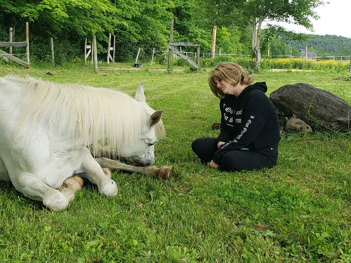 Weekly Wellness Energy Healing at Heart and Heritage Stables