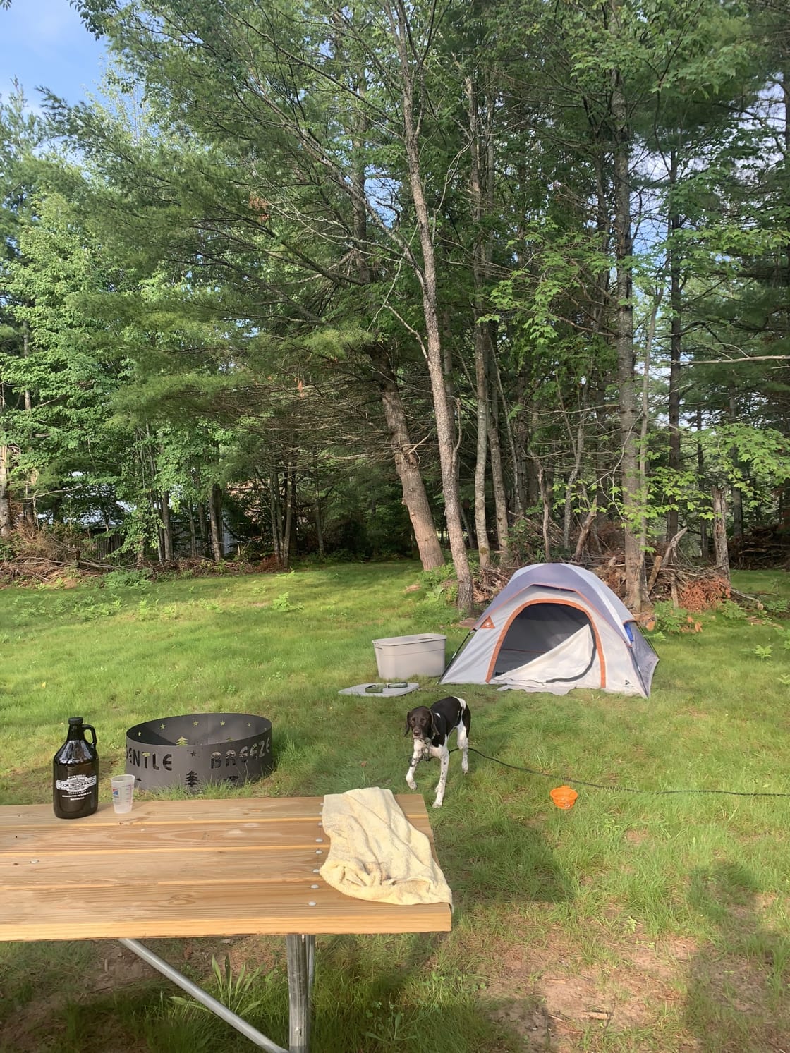 Gentle Breeze Camping