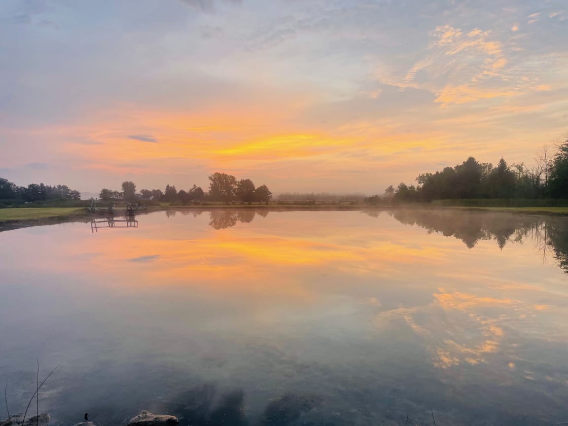 Beautiful sunrises over the pond.