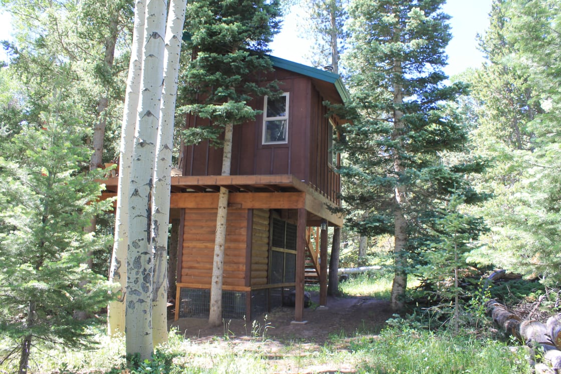 Bayly's Treehouse Retreat