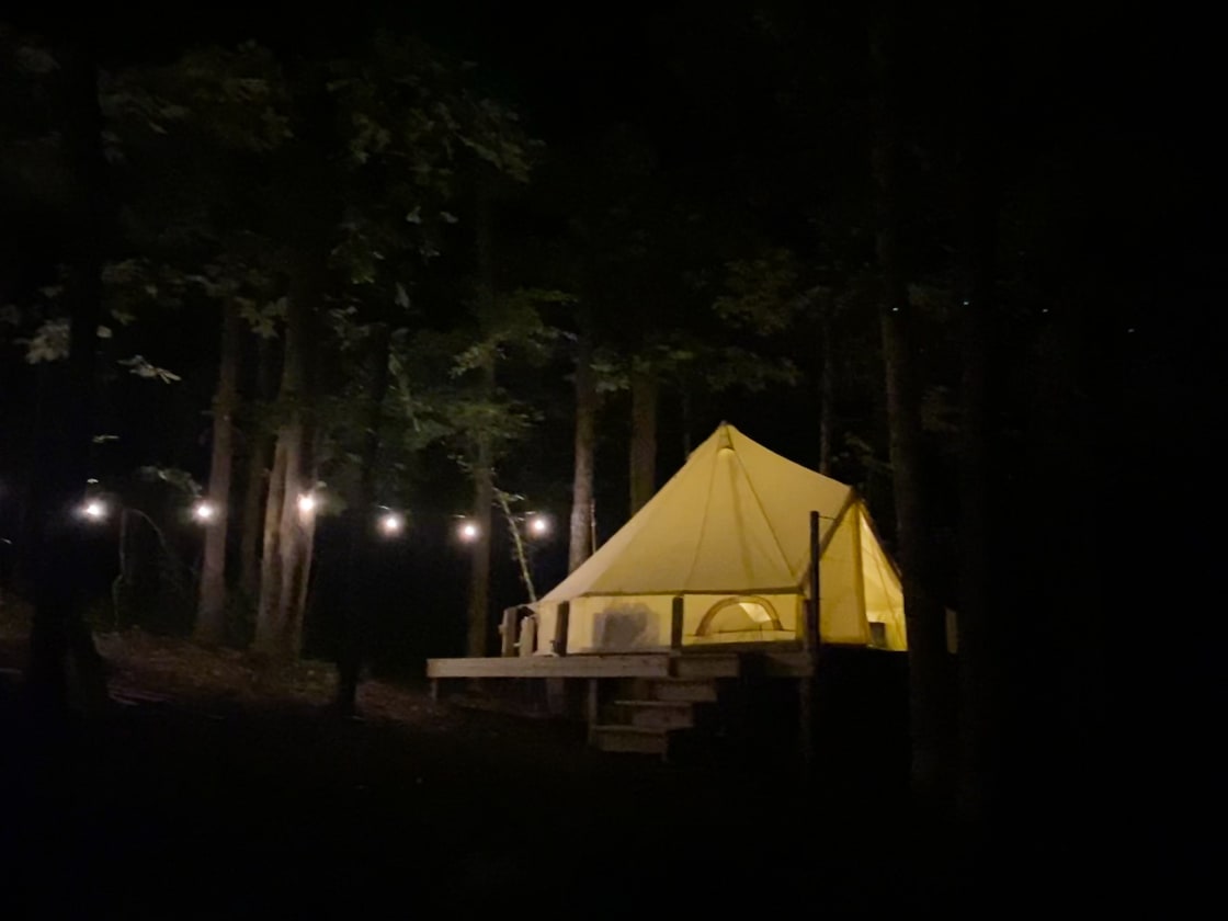 Shoal Creek Forest Bell Tent