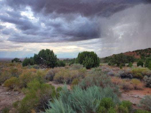 Storming over the Arizona Strip - view from campsite 