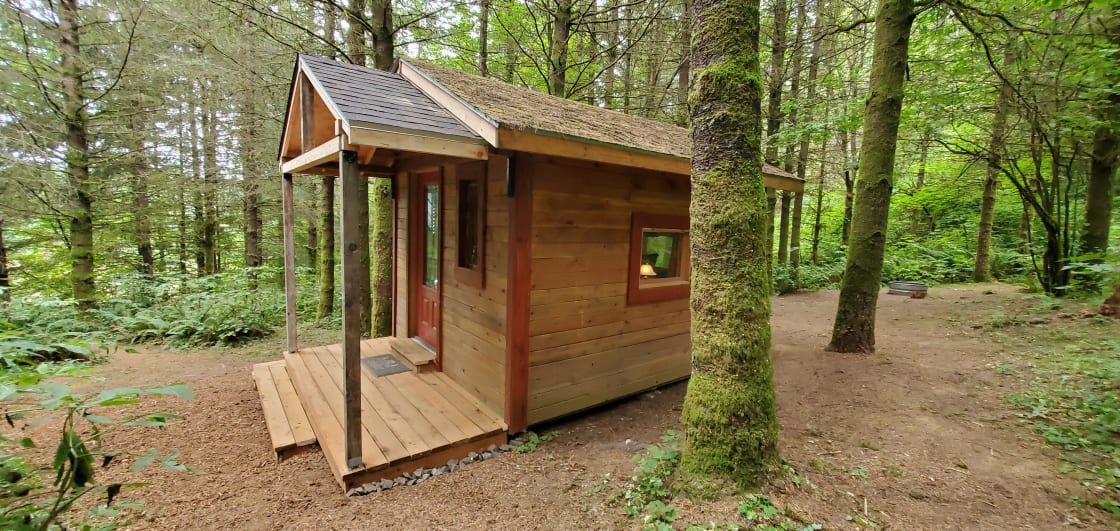 Tiny Cabin 2023