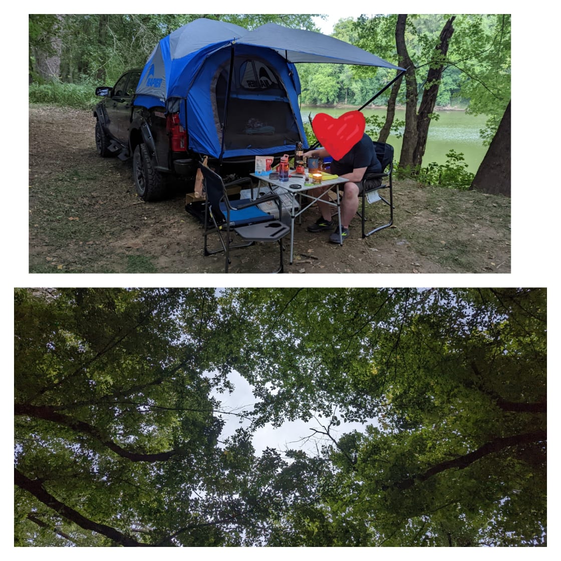 Tent camping in our midsize truck along the river. The view of the canopy above us. 