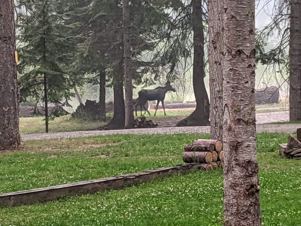 Prospect Creek Camping and RV