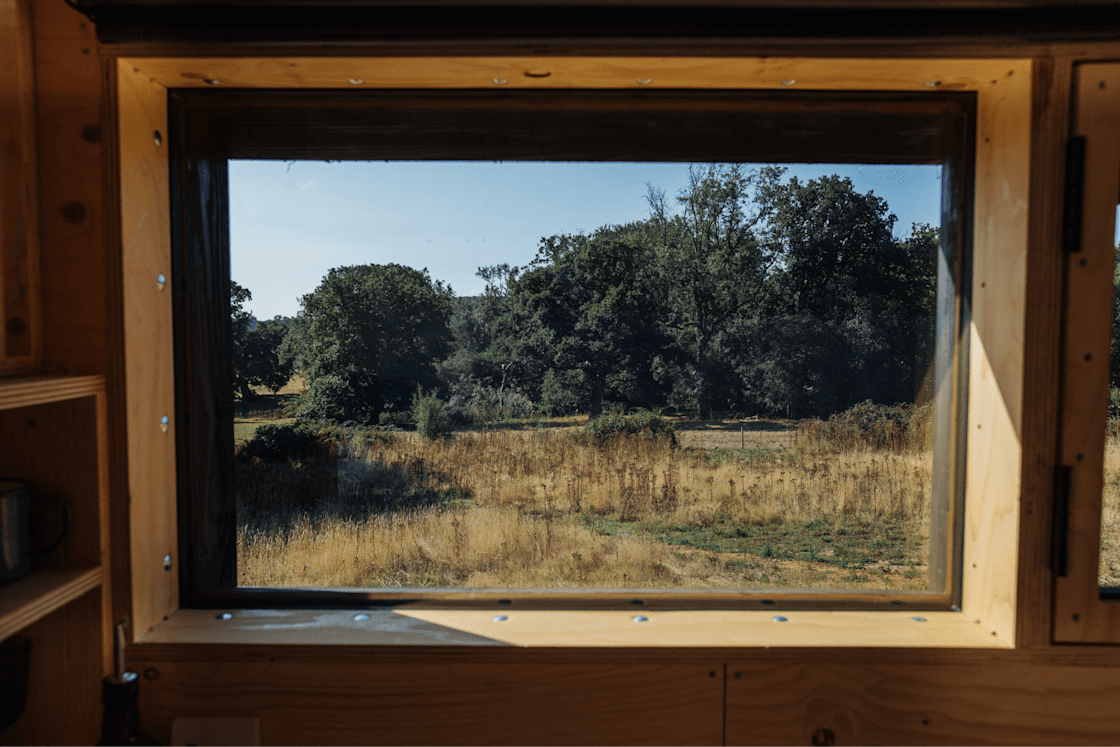 View from the kitchen 