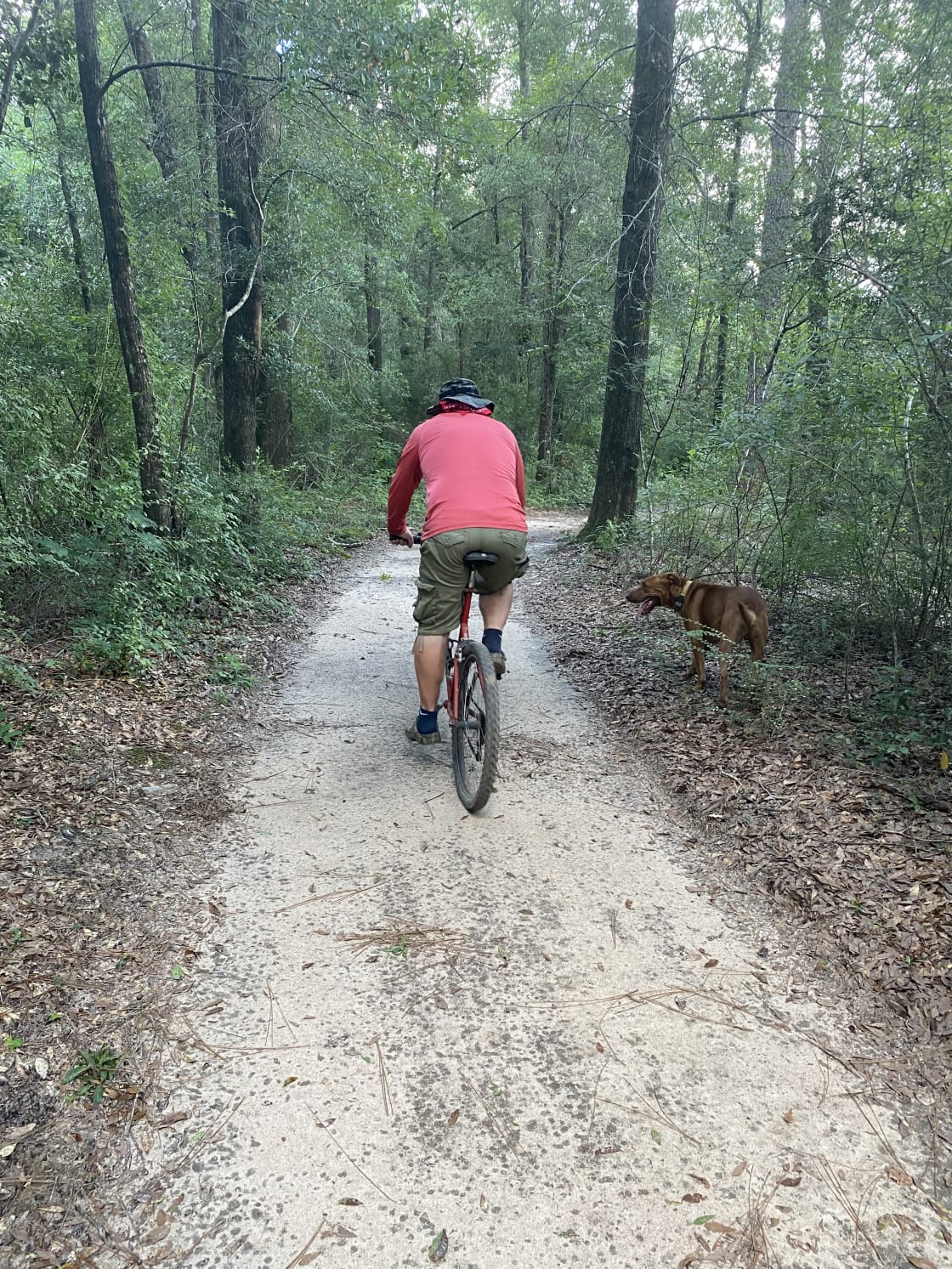 Trails are good for biking too!
