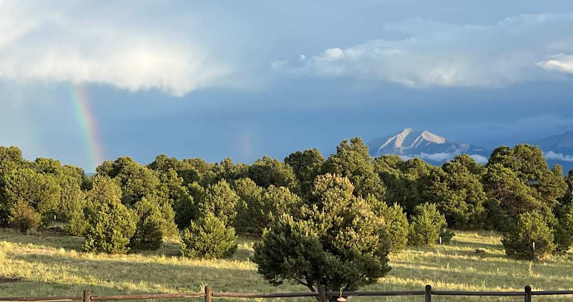 View from the house