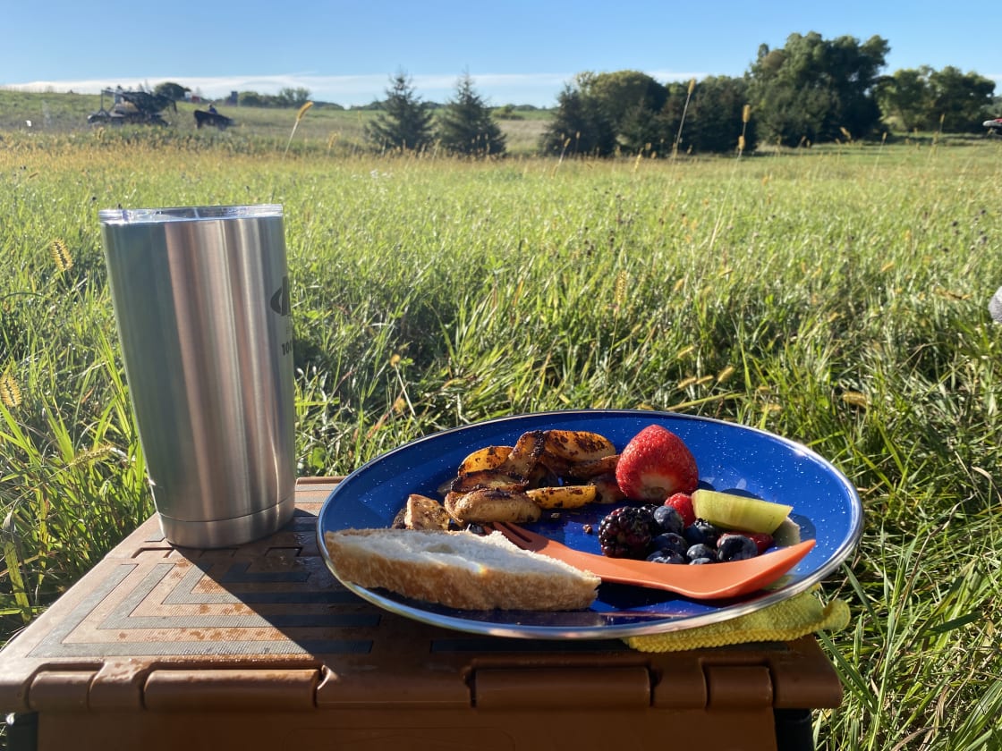 Breakfast in the pasture.