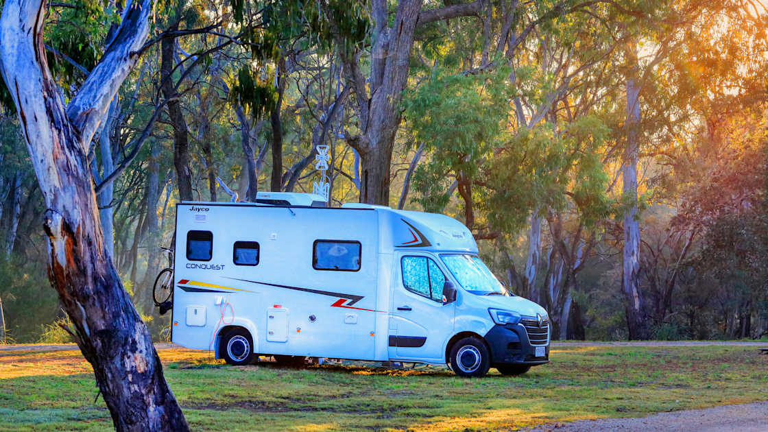 Discover the best dogfriendly campgrounds in Australia