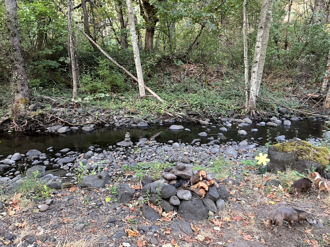 Fire pit near the creek