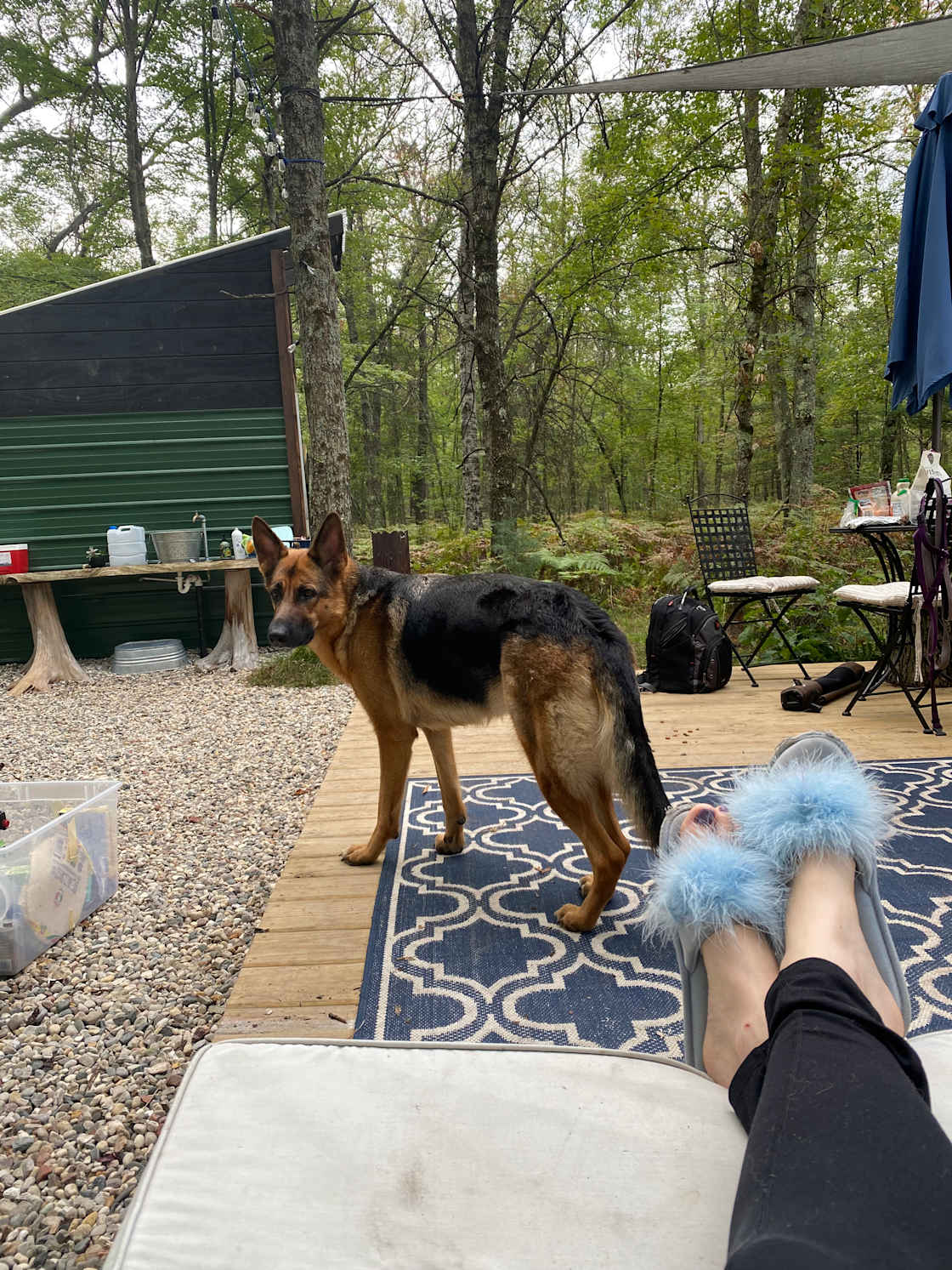 Streamside Retreats
