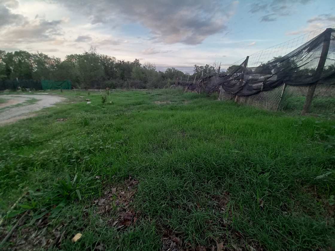 La Barraka