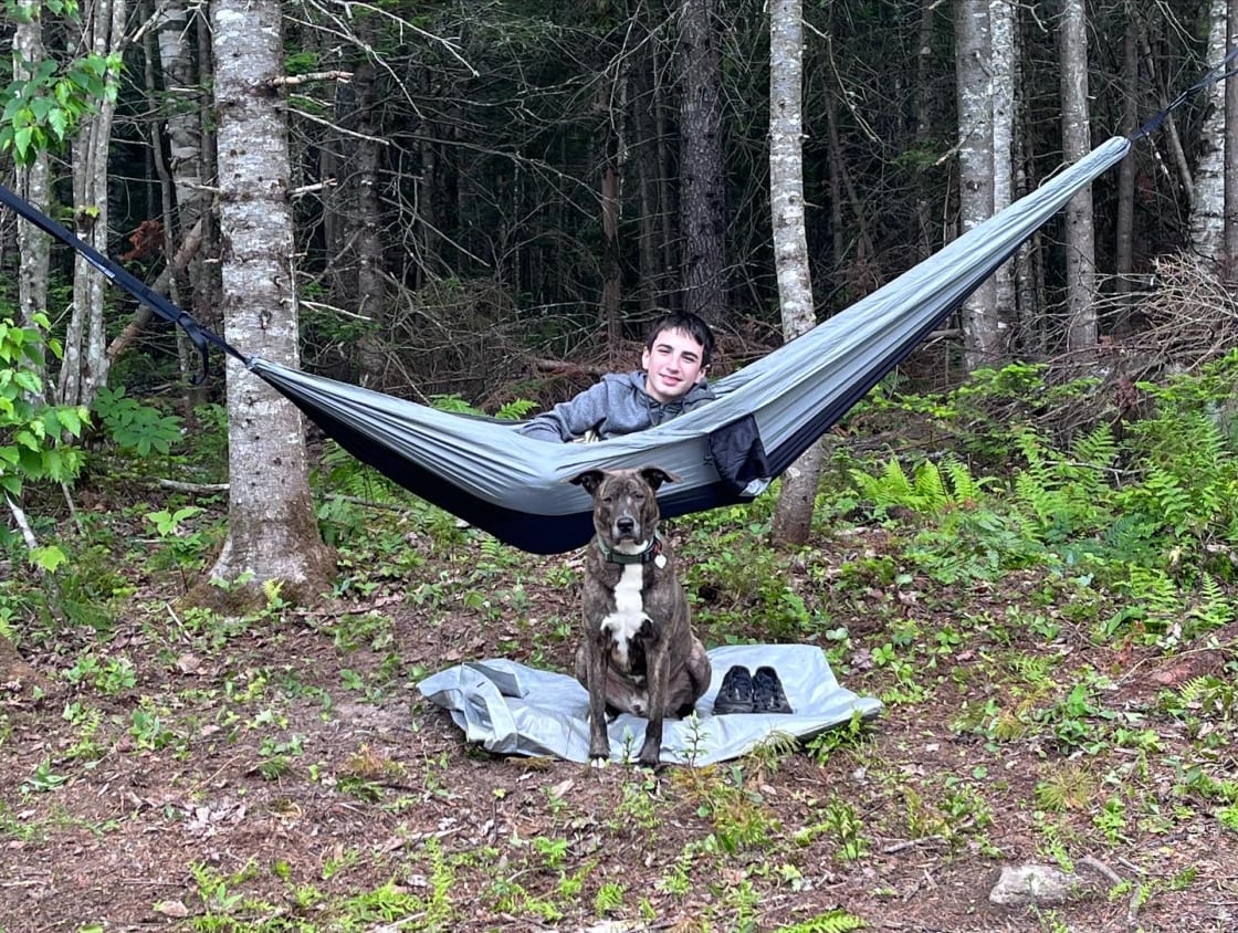 Plenty of places for a hammock and dog friendly too. 