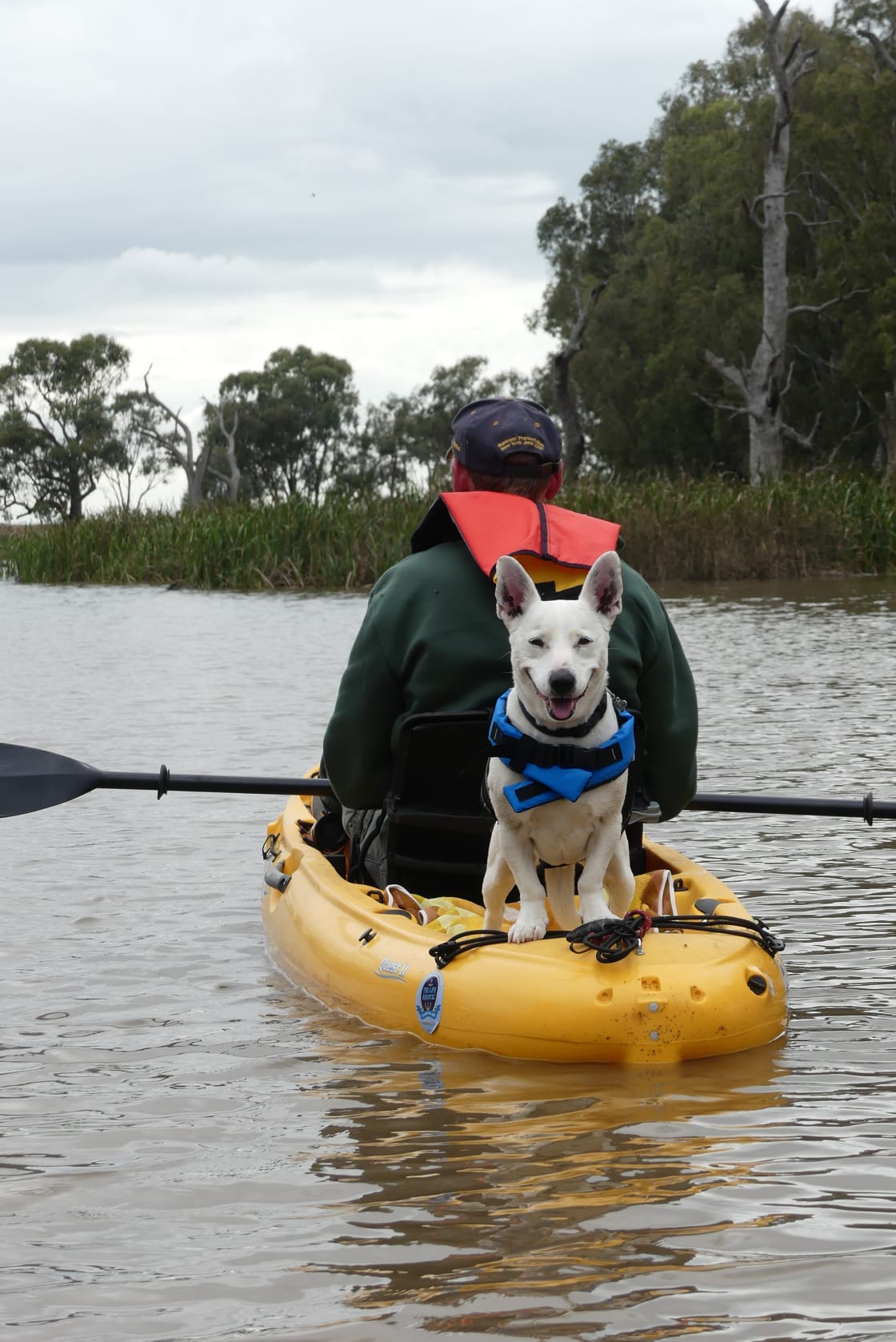 Kayaking - campsite is pet friendly