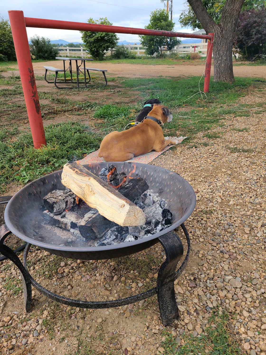 County Line Hobby Farm