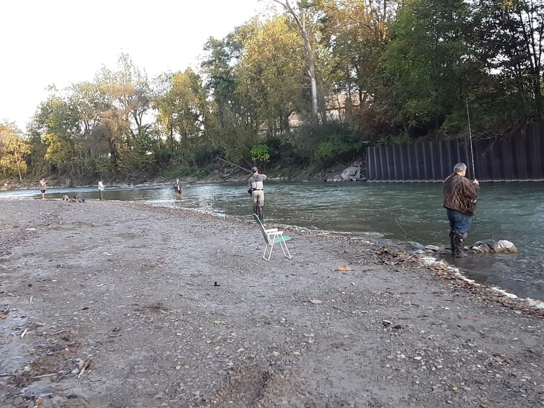 Cattaraugus Creek, know for its Steelhead Fishing. Fishing Derby every 3rd Weekend in October.