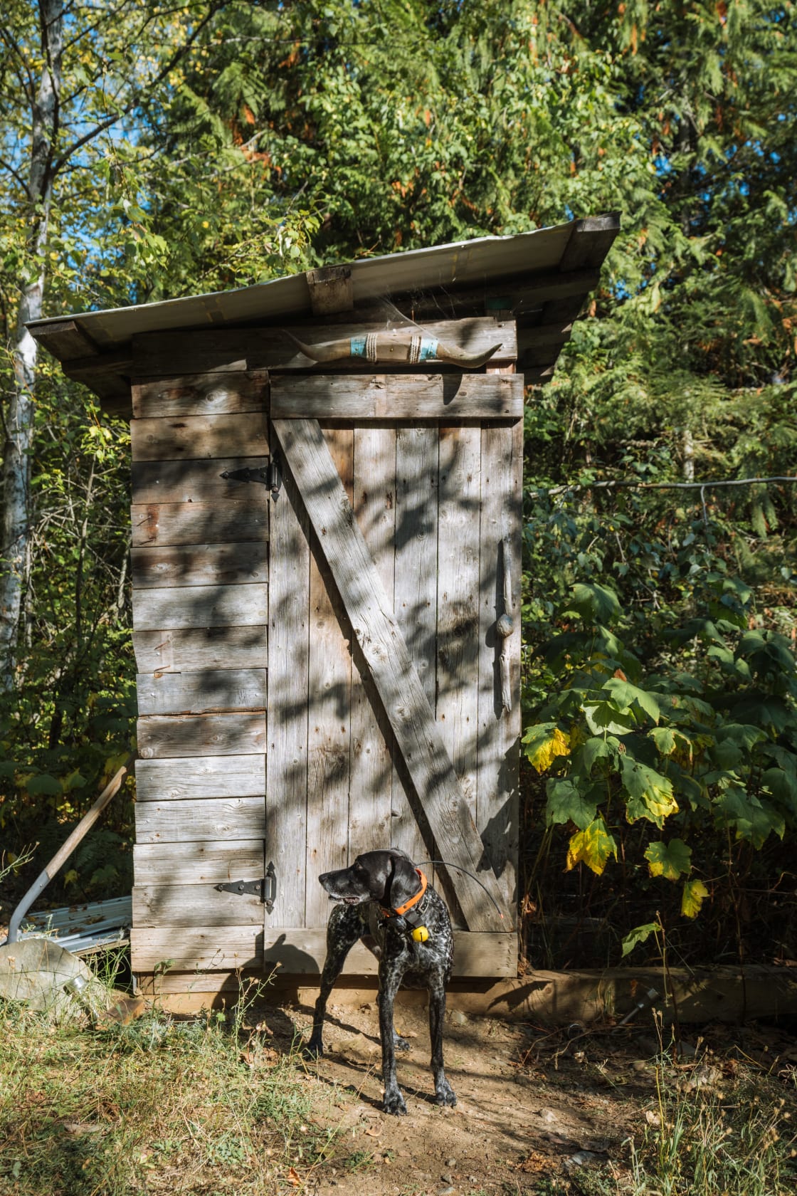 Outhouse is just a few steps away from the cabin
