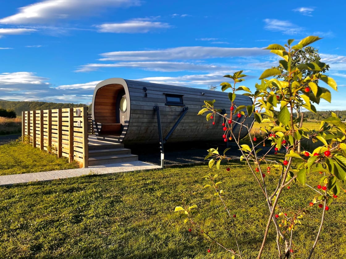 Luxury Glamping Anthropod with Hot