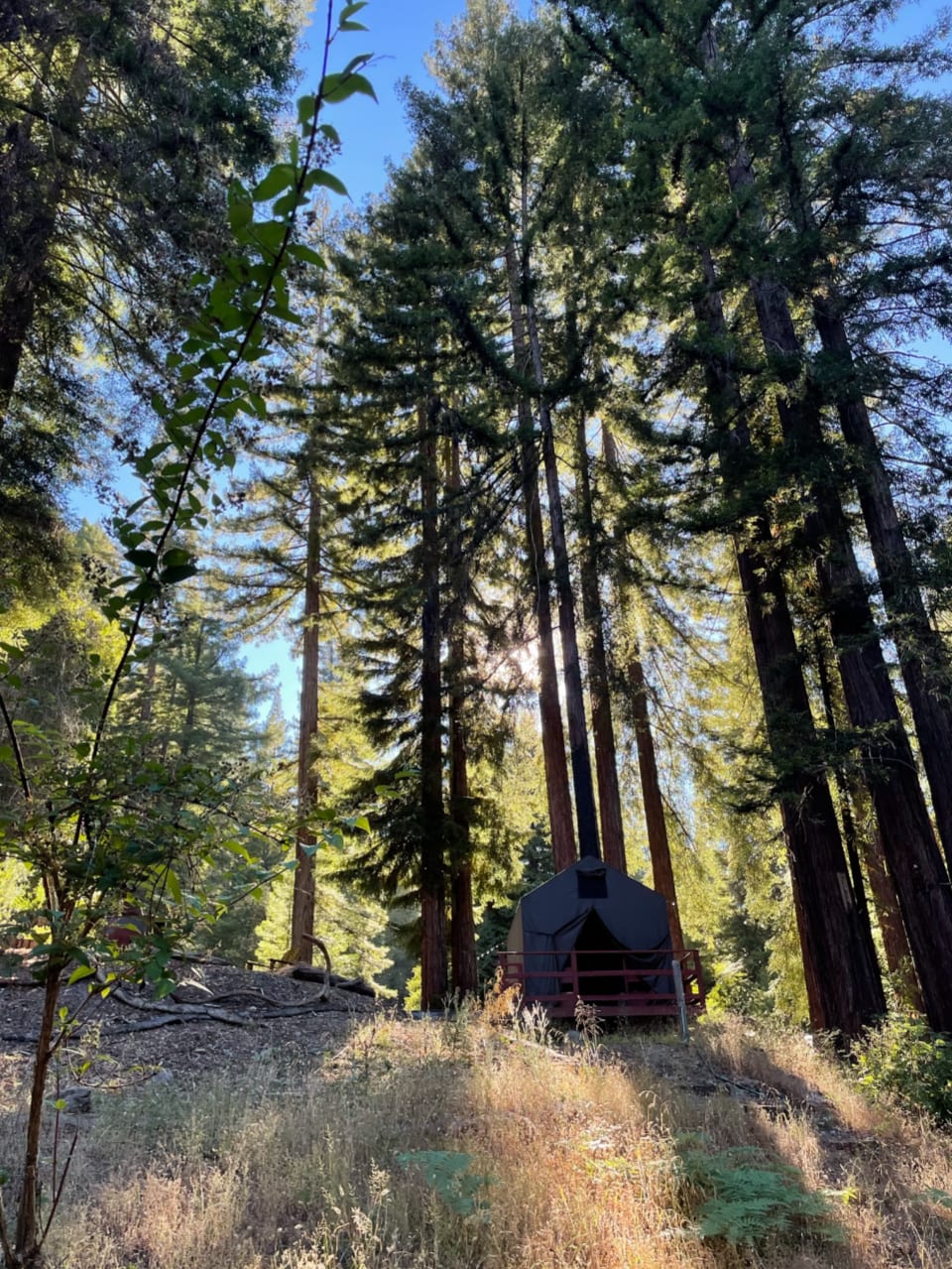 A California Dream: Camp Hoppy