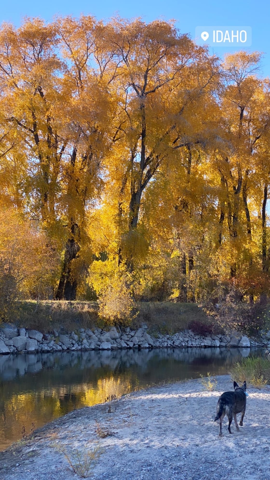 Teton Corners River Preserve