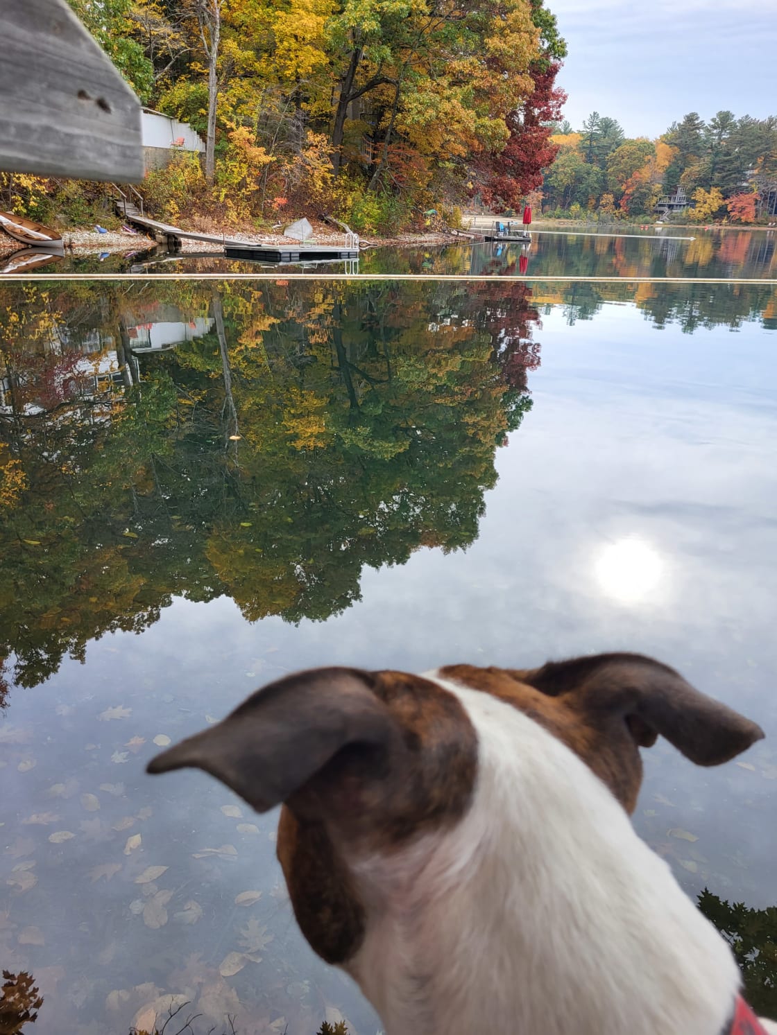 Ponderings at White Pond
