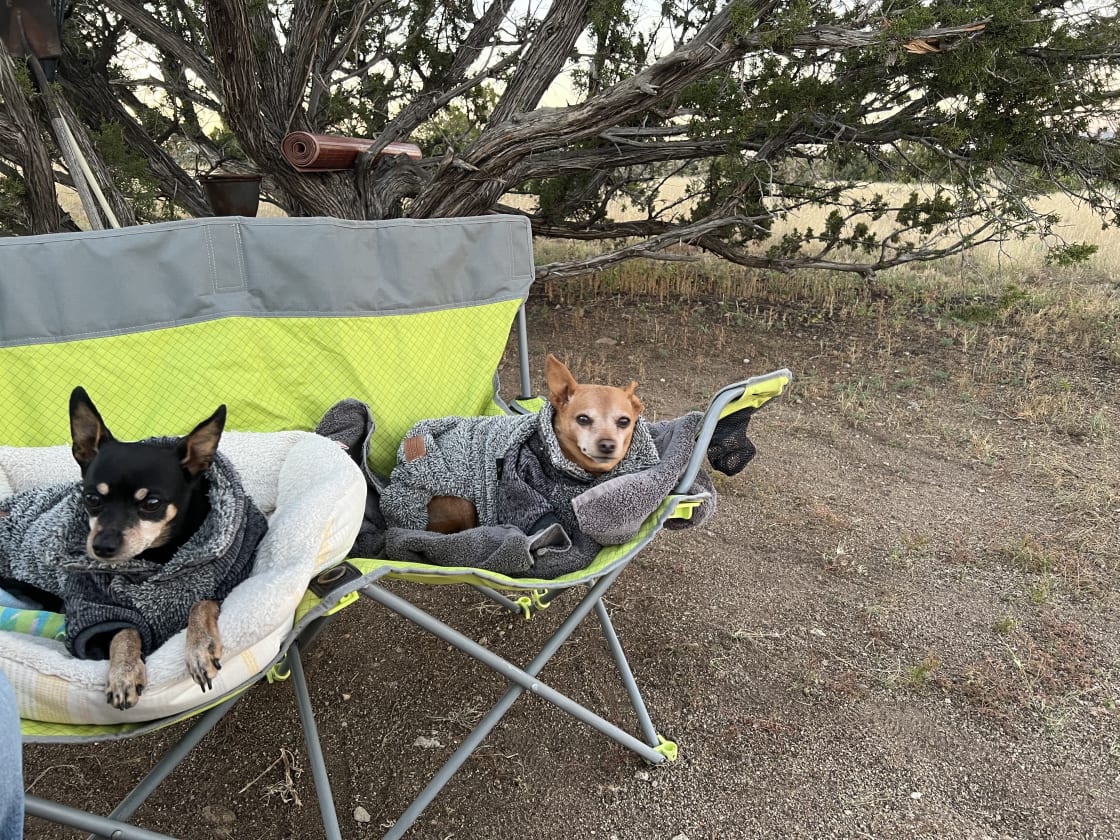 Mesa top camping
