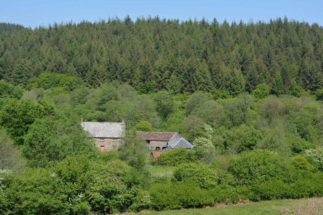Aldridge Mill