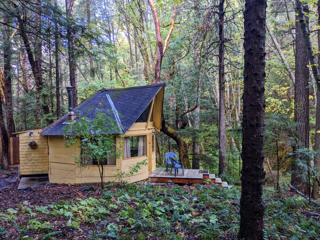 Creekside Cabin in Williams, OR