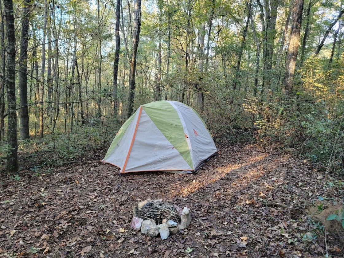 Single tent site (#1).