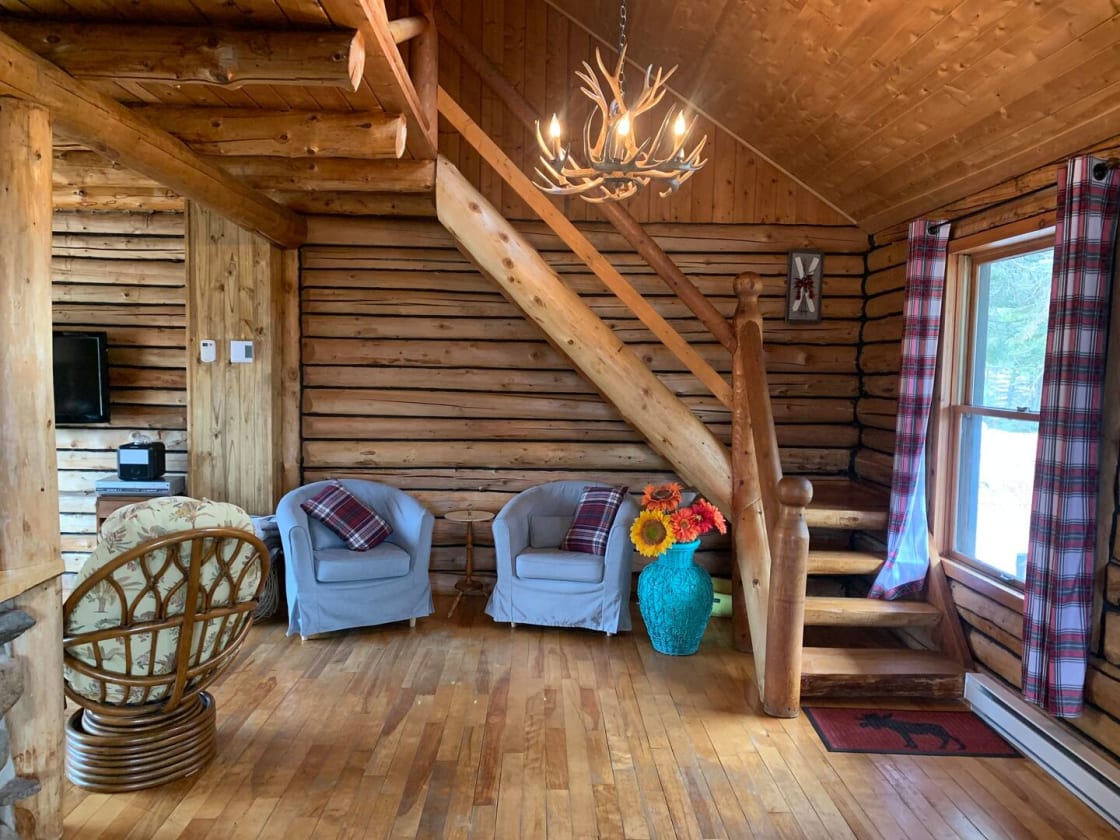 Cozy log cottage