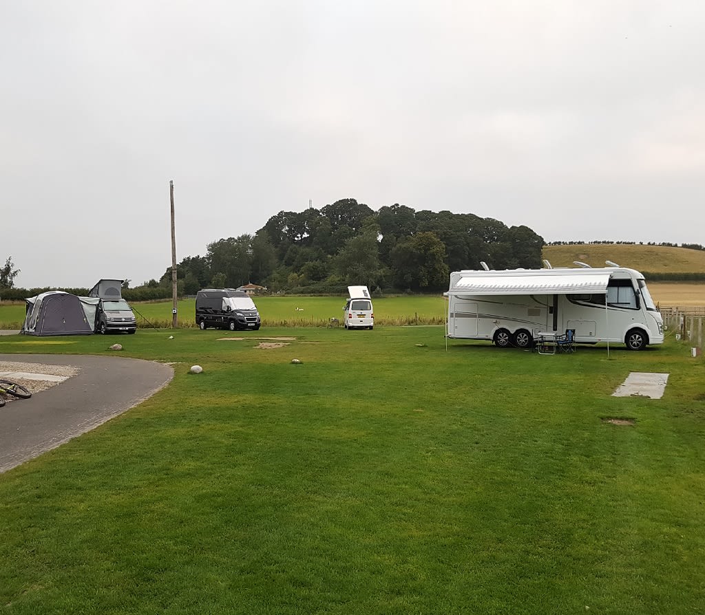 Motorhomes on the Stack Yard pitches.