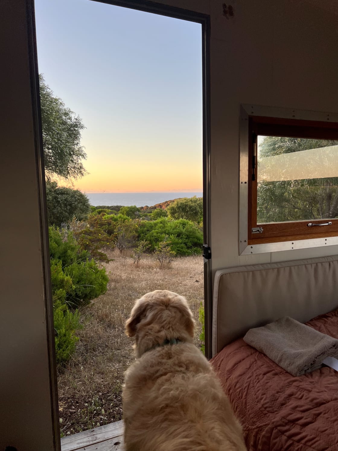Guess what! Even our dog loves the view.