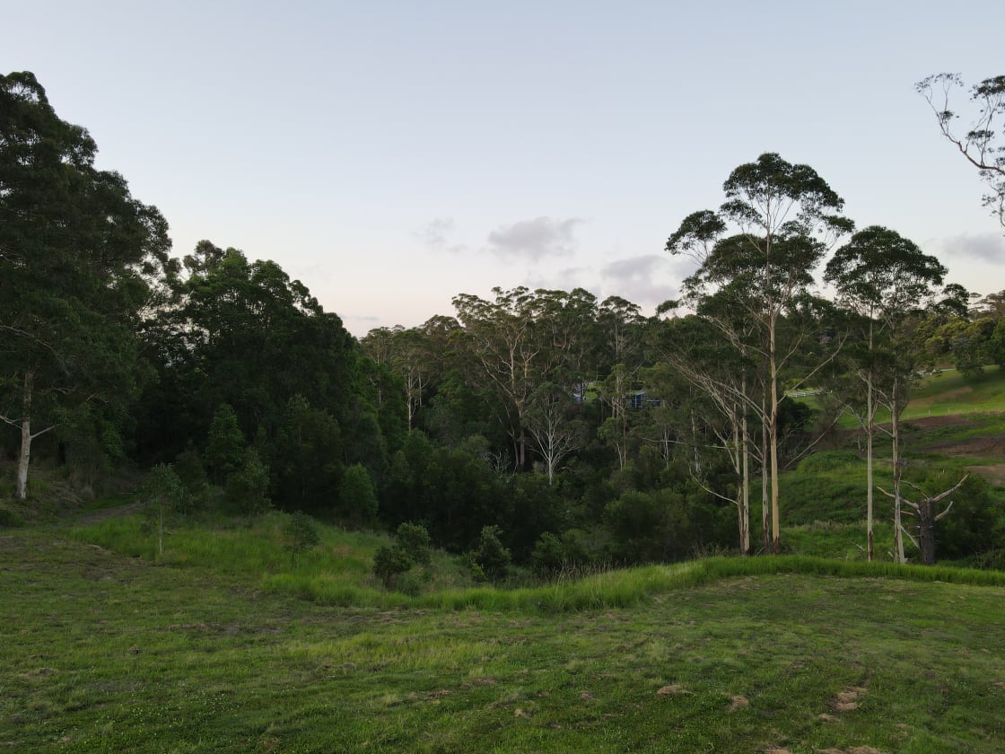 Black Cockatoo Valley