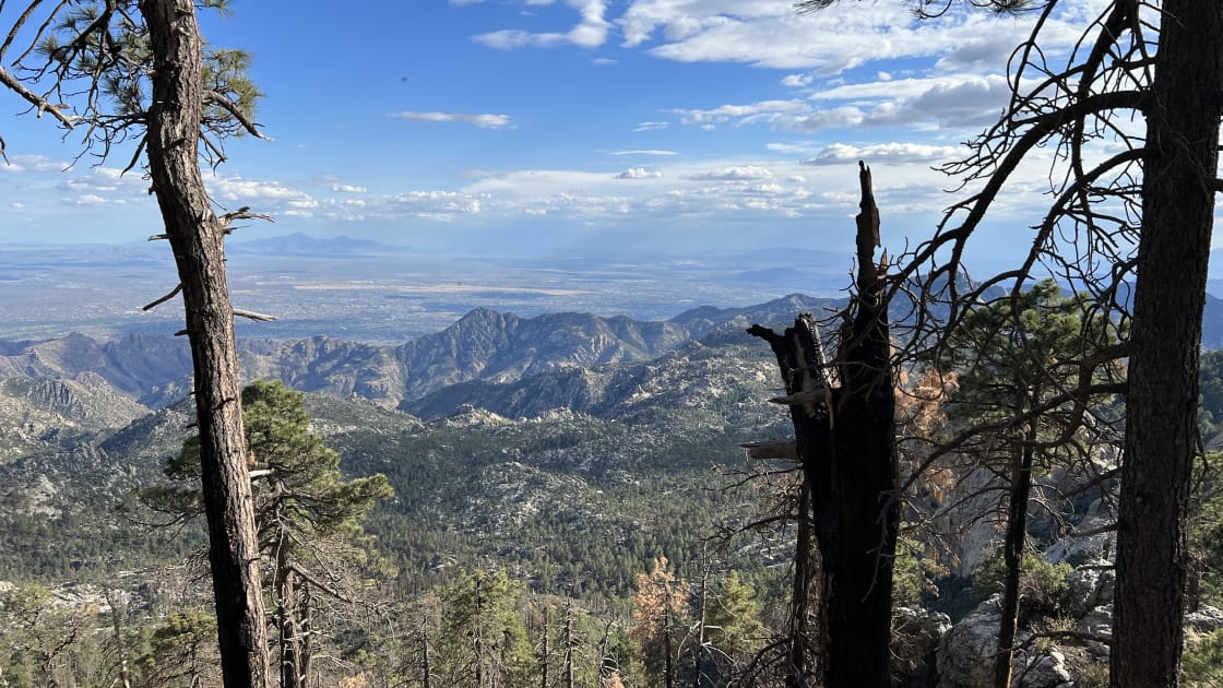 View of Tucson from the top of Mt. Lemmon