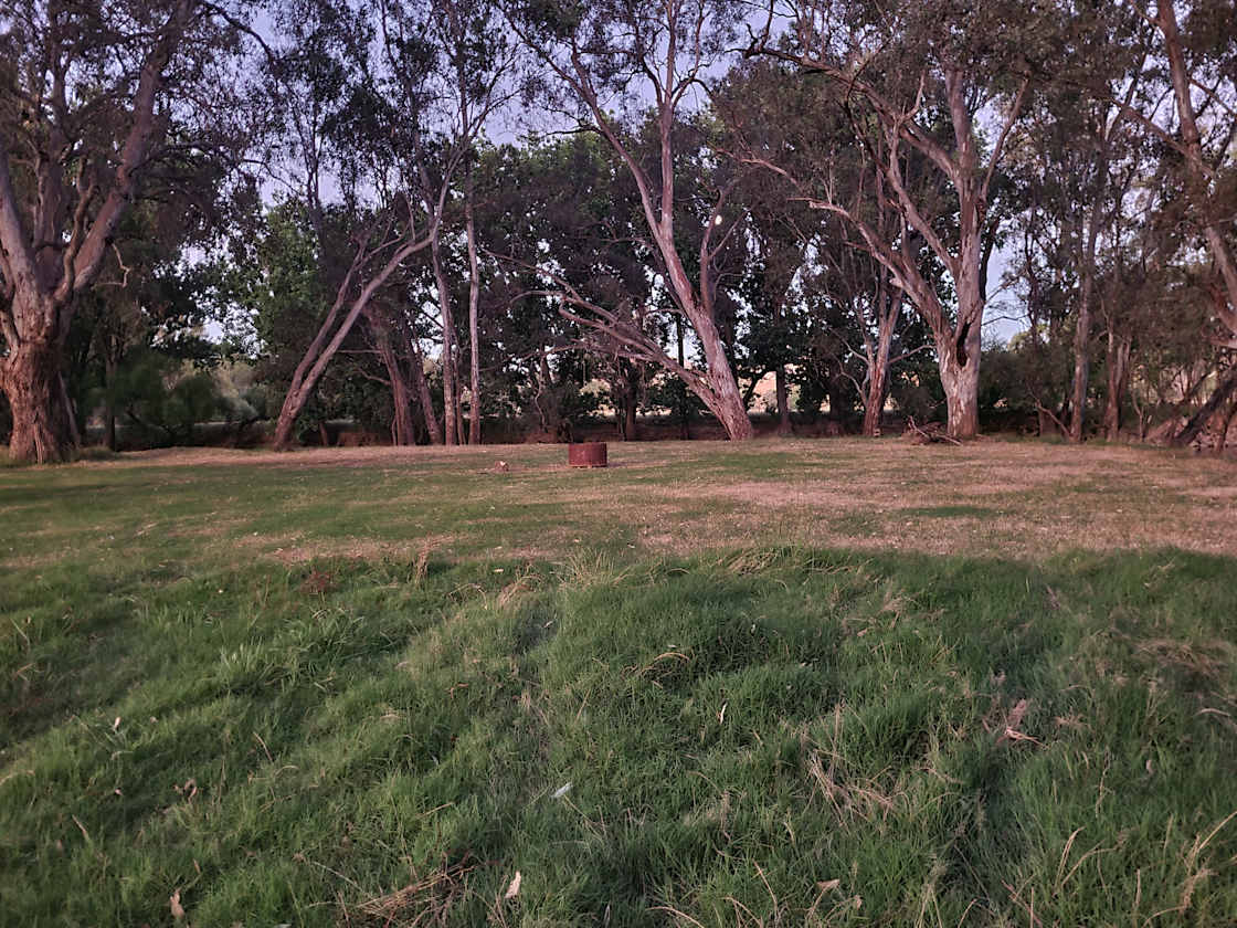 Willowood