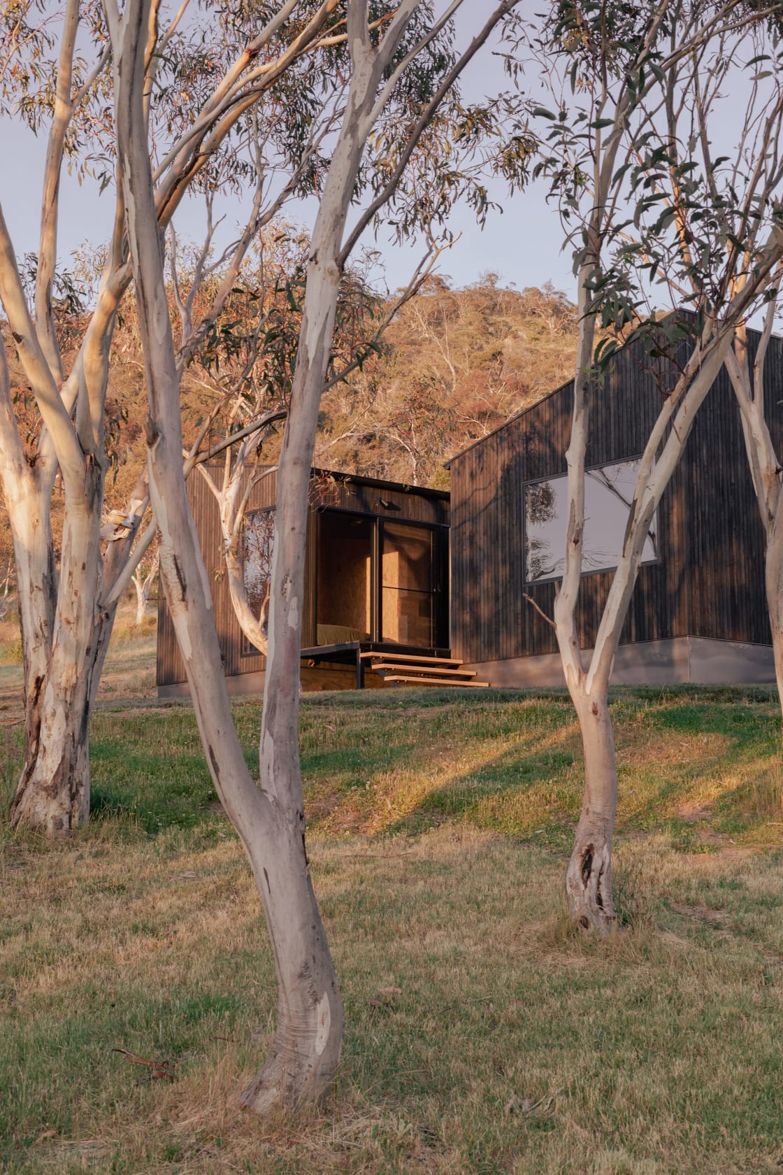 Your cabin is nestled amongst the gumtrees 
