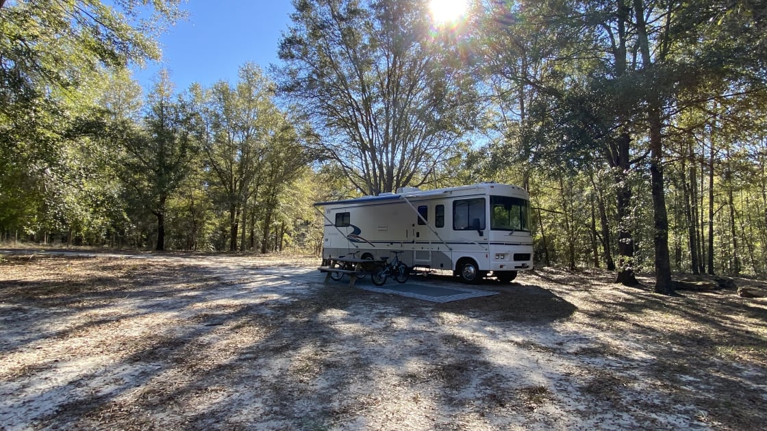Forest RV Spot With Full Hook Ups